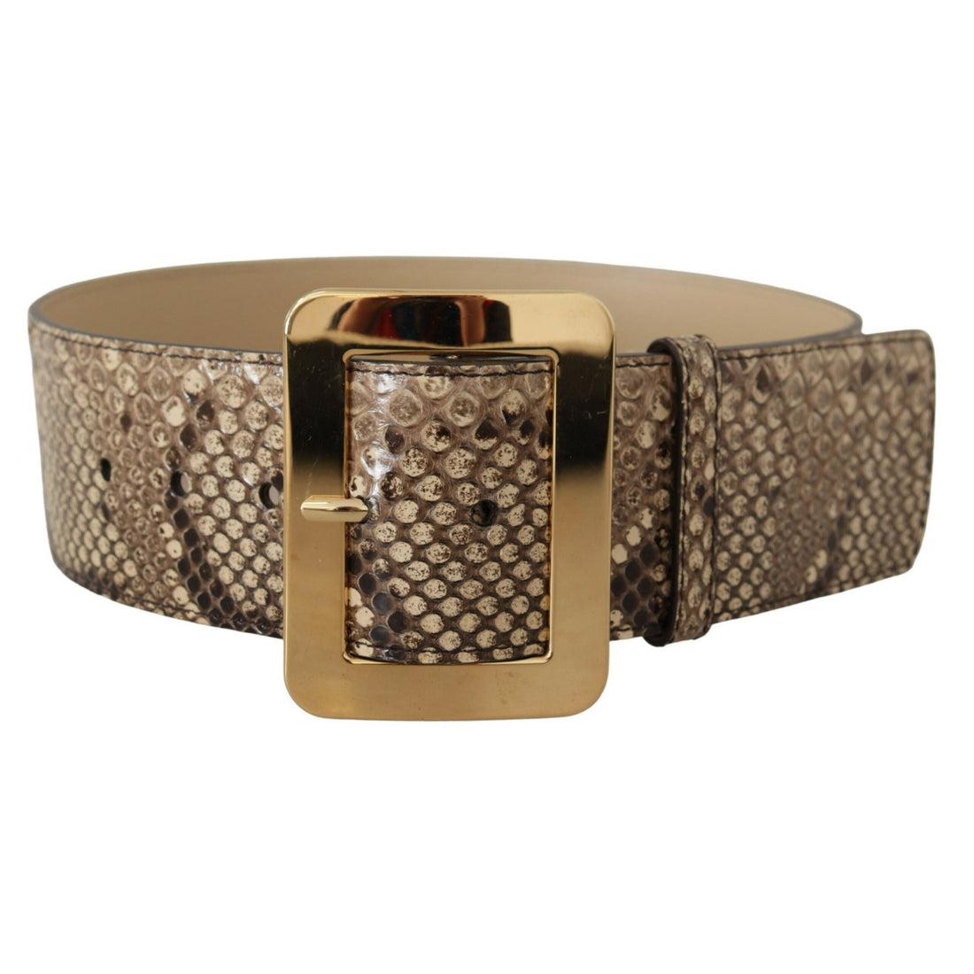 Dolce & Gabbana Brown Exotic Wide Waist Leather Gold Metal Buckle Belt