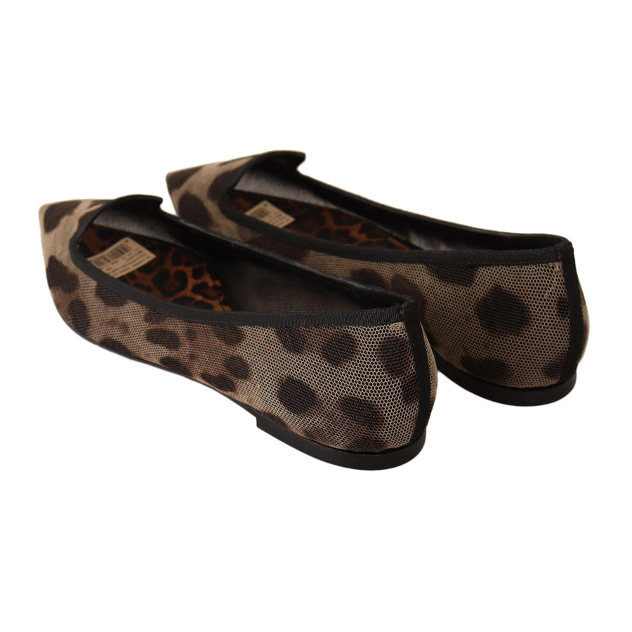 Dolce & Gabbana Brown Leopard Ballerina Flat Loafers Shoes