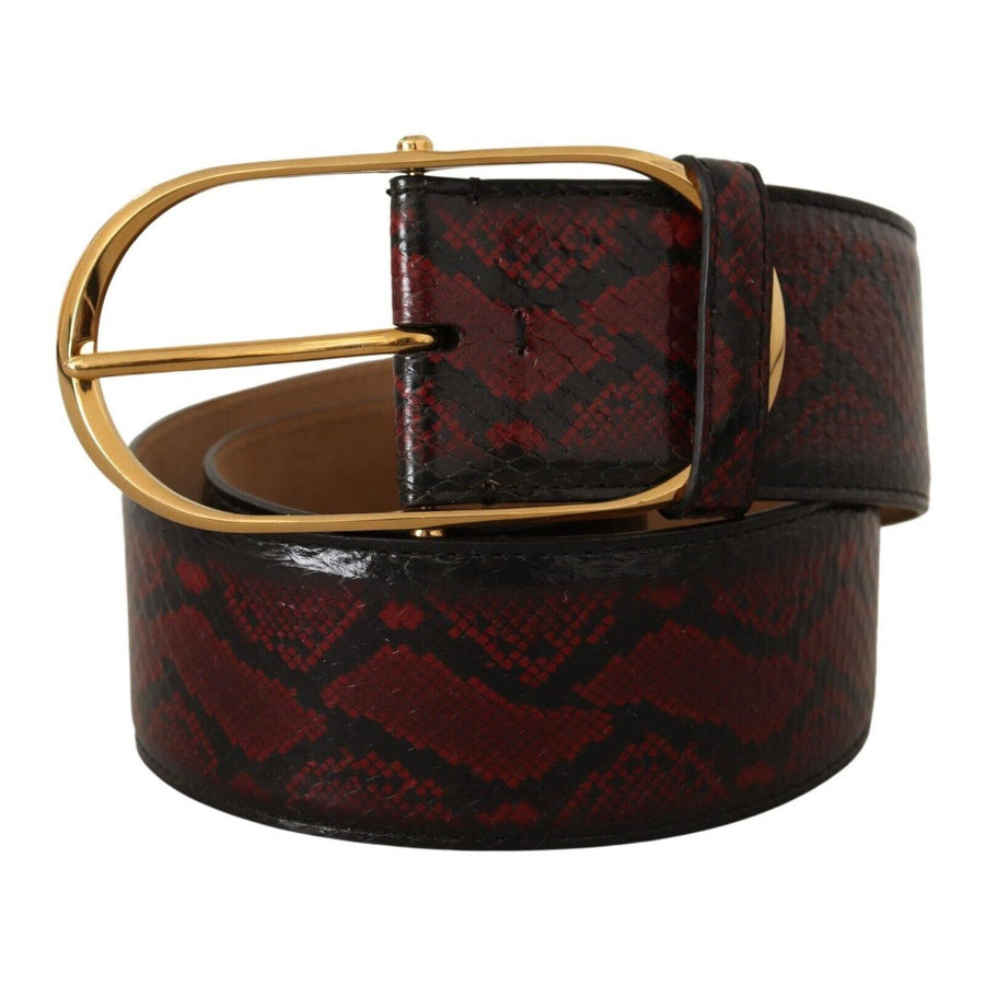 Dolce & Gabbana Elegant Red Python Leather Belt with Gold Buckle