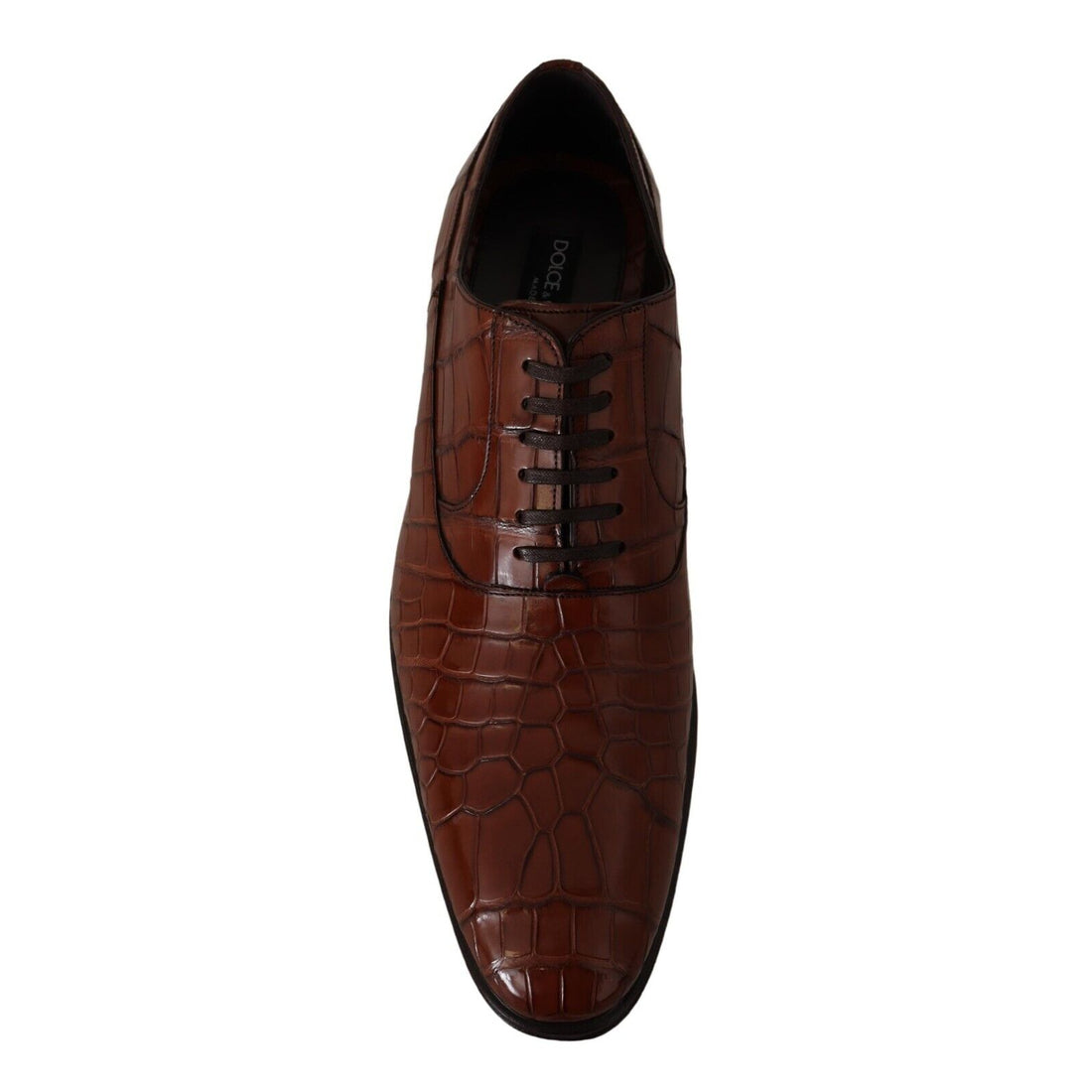 Dolce & Gabbana Brown Crocodile Leather Mens Formal Derby Shoes